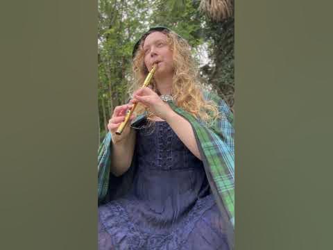Lord of the Rings - Concerning Hobbits (Tin Whistle & Harp) #
