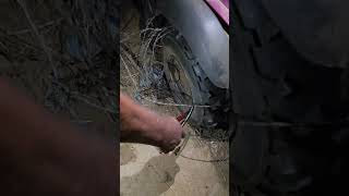 Mule vs Barbed Wire Fence #texas #2026 #barbedwire #accident #mule #tools #compound #ytshorts