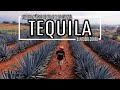 TEQUILA - PUEBLO MÁGICO de Jalisco, RECORRIDO POR TU CUENTA desde Guadalajara. Tour Casa Sauza. 🇲🇽🥃