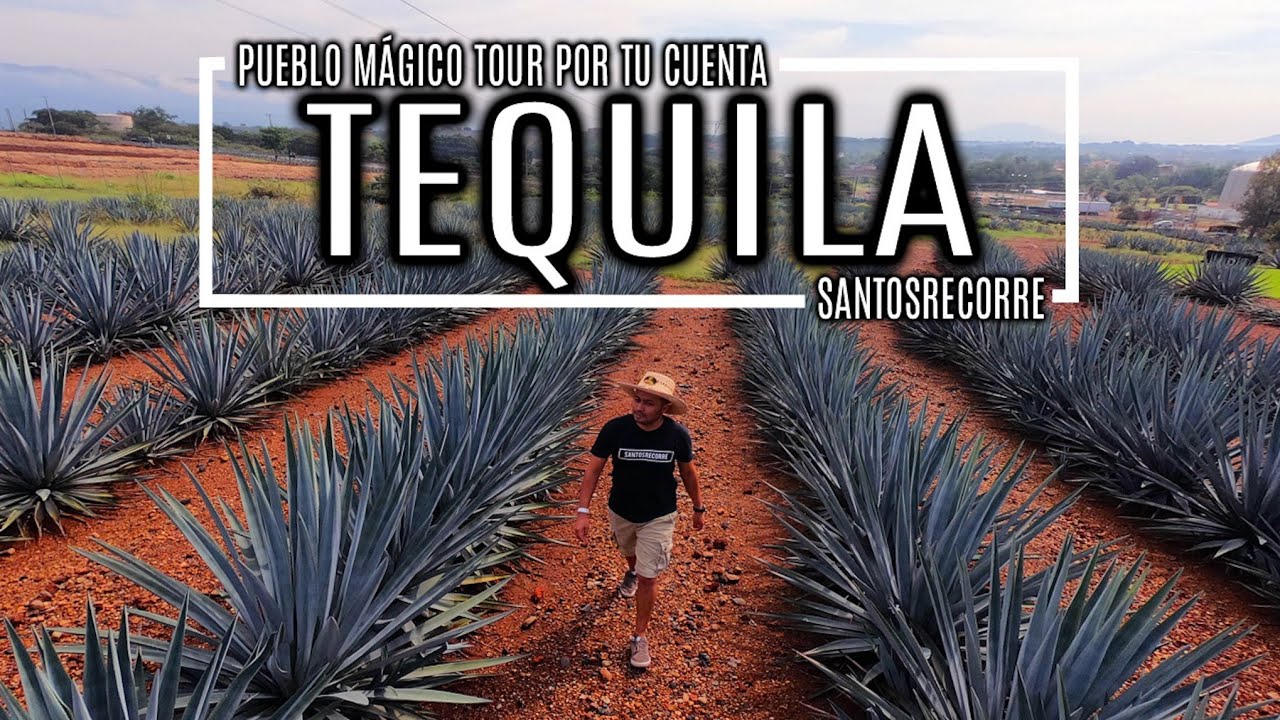 TEQUILA PUEBLO MÁGICO de Jalisco, RECORRIDO POR TU CUENTA desde