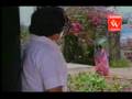 Kannada song  hoovinda hoovige  sjanaki hits