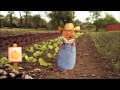 Small Potatoes Marathon 