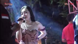 Cindy Faradita - Jangan Dendam - NEW SAMUDRA REBORN LIVE ERTE NOL DUA TAMPIL BEDA KALIDAWIR