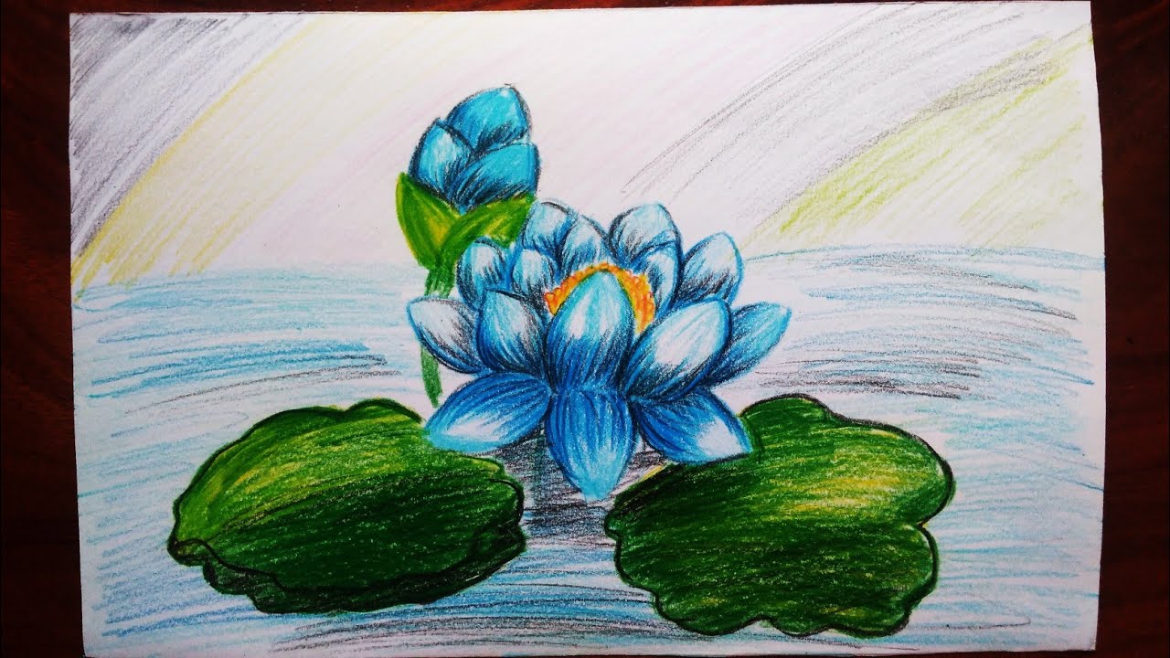 blue lotus drawing