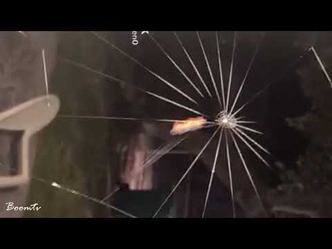 Video Cận cảnh NHỆN GIĂNG TƠ làm bẩy con mồi - youtube