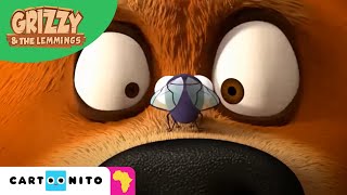 Grizzy \& the Lemmings | Fly | Cartoonito Africa