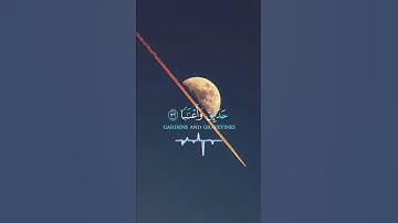 إِنَّ لِلْمُتَّقِينَ مَفَازًا ﴿٣١﴾ حَدَائِقَ وَأَعْنَابًا #quran #القرآن_الكريم #تلاوة_خاشعة #قرآن