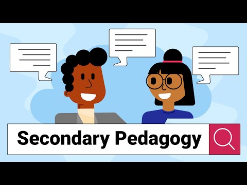 Programming Pedagogy in