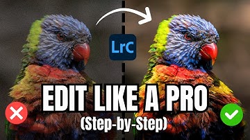 EDITING BIRD PHOTOS IN LIGHTROOM CLASSIC: A Beginner