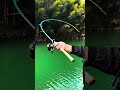 Lure fishing spinner reel, one-handed operation