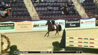 279 Heads Up 3E Tamara Morse, Class 216 Amateur Owner Jumper, Ii, 2A