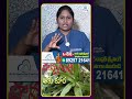 పొన్నగంటి కూర తింటే కంటి చూపు మెరుగుపడుతుంది! | iDream Health