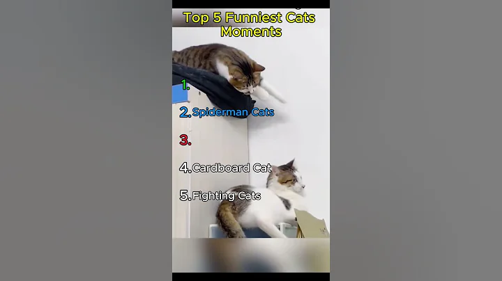 Video 10107511: laugh funniest cats, laugh funny cat, funny cats cute funniest, catlover