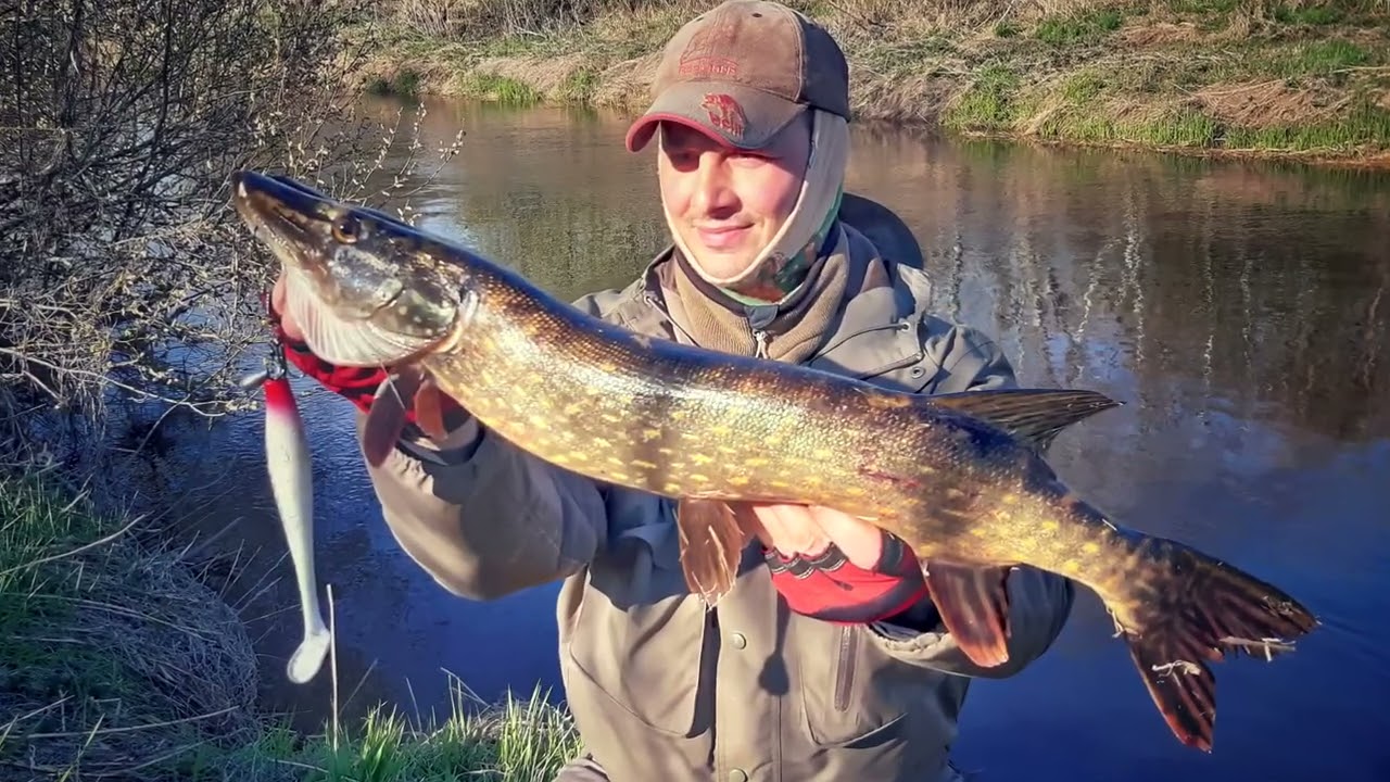 ЩУКА на КРУПНУЮ РЕЗИНУ 🎣 LJ KUBIRA СНОВА УДИВИЛА!!! 🎣 HAUGIPÜÜK suure SILIKOONIGA