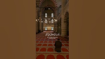 الأية 49 من سورة الأنفال 🎧