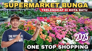 KIOS BUNGA BAROKAH BATU TERBARU 2023, SURGANYA PECINTA BUNGA - Cak Hanto