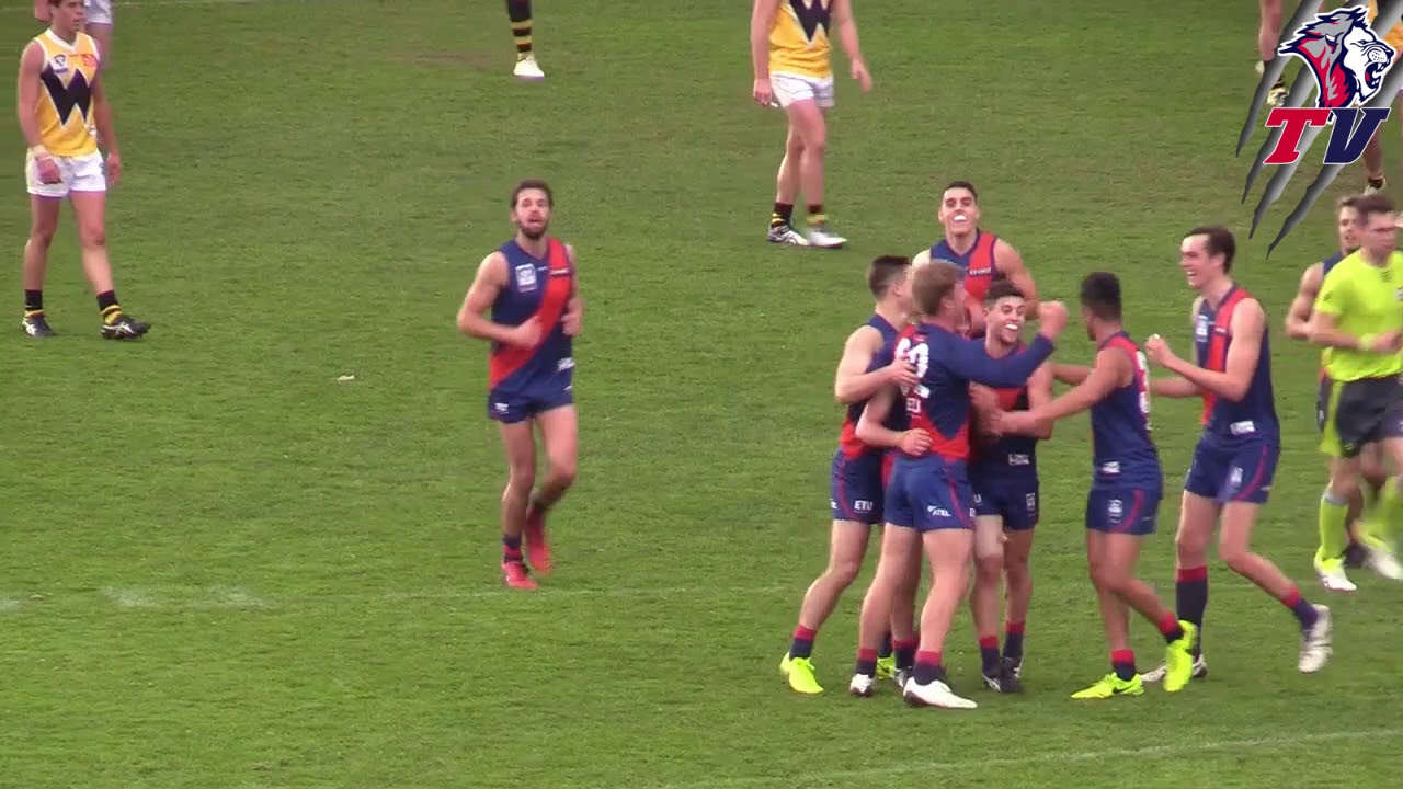 faceapp 2017 Development League Best & Fairest Placings- Mitchell Conn, Jack Sandric & Cameron McRorie