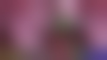 Multiclass segmentation of surgical endoscopic tools. Challenging in-vivo sequence.