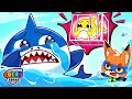 Who took the baby shark  baby got lost  color squad save baby shark  funny kids cartoon