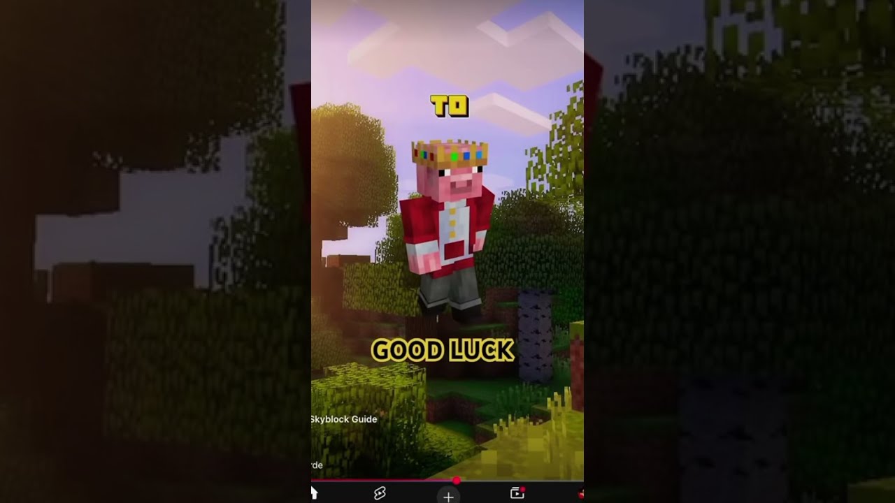 He Is Probably Not Going To Comment Anyways Xentyl Minecraft