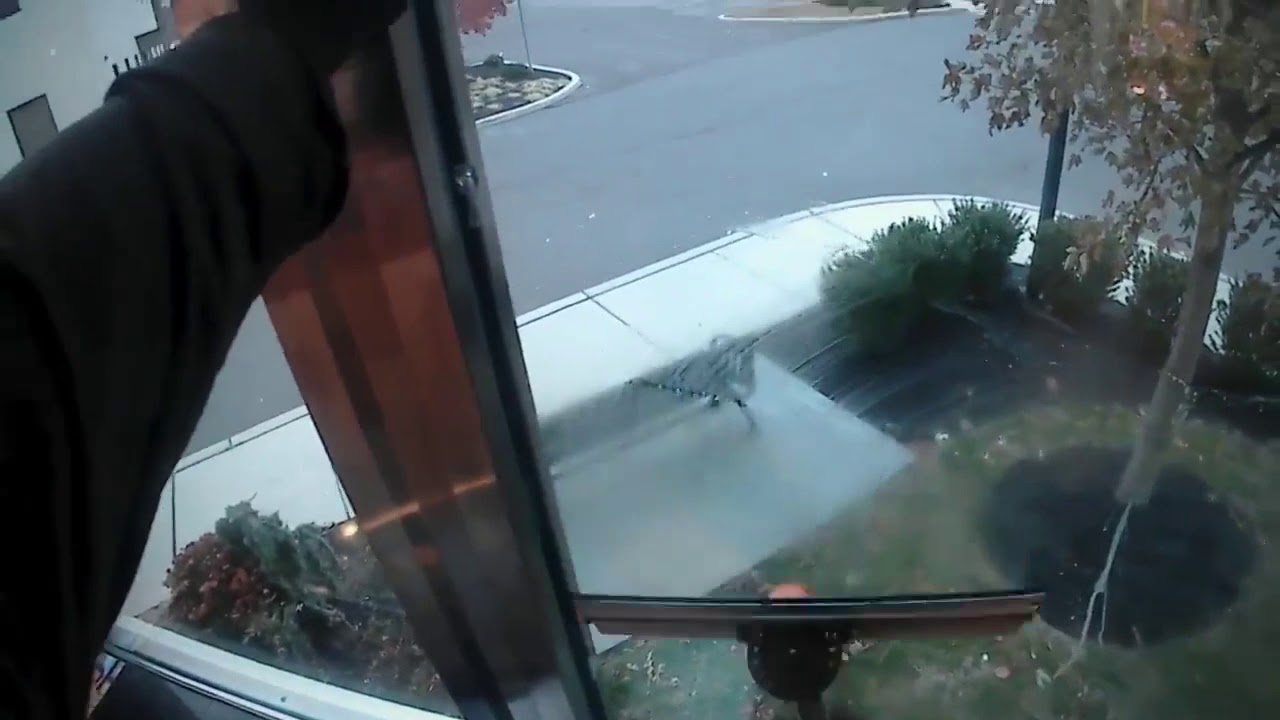 A Wagtail production Masters At Wagtail