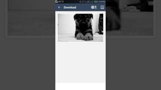 How to download from Tumblr for Android screenshot 3