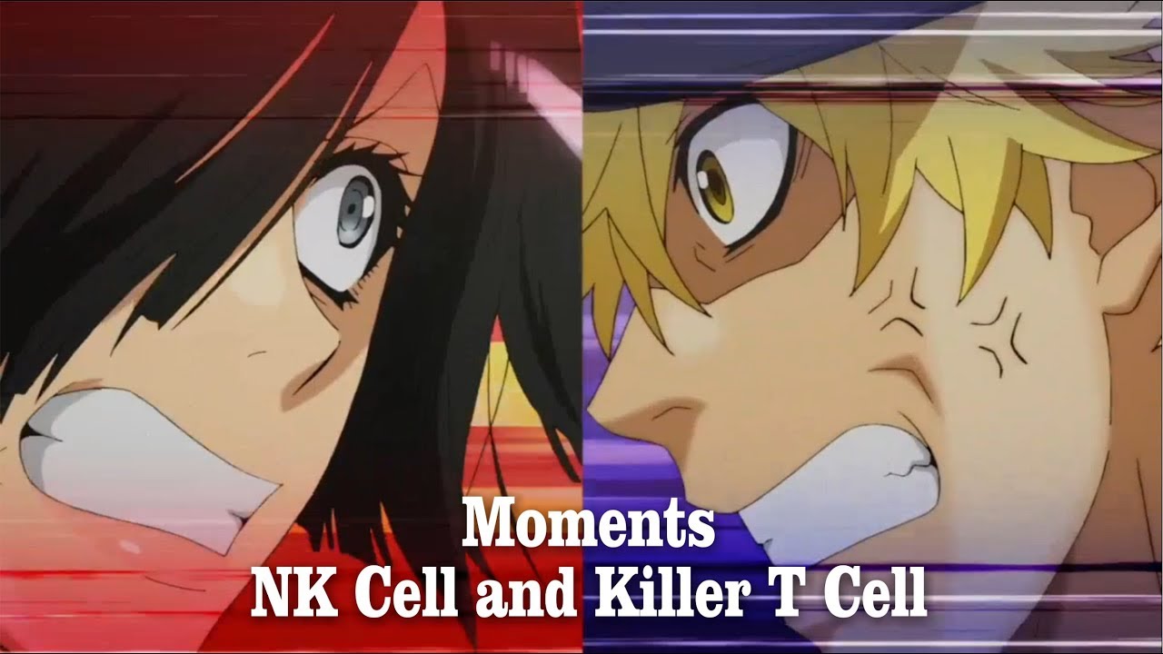 Killer T Cell And Nk Cell Hataraku Saibou Episode 6 7 Youtube