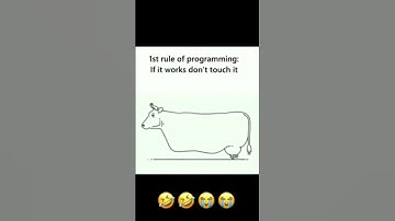 First rule of programming || #funny #engineering #developer #software #college #job #memes