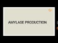 Amylase production ( Industrial Microbiology)