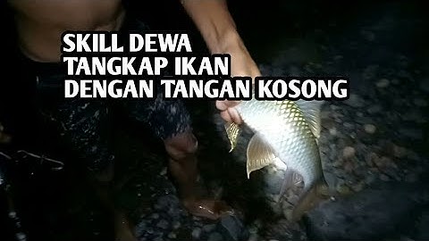 SKILL DEWA TANGKAP IKAN DENGAN TANGAN KOSONG