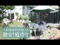 【庭作り】お金をかけずに激安で庭を作る方法!ーDIY編ー