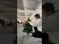 Today I'm going to show you a small tree#factory #christmastree #christmas #christmas2025