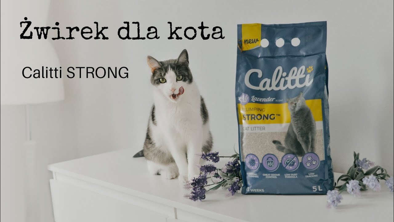 Testy żwirek bentonitowy Calitti STRONG | Kocia Ciocia