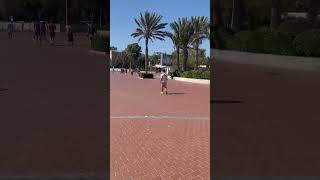 Agadir25°☀️😍1 Mai 2026  #agadir #morocco #visitmorocco #agadir