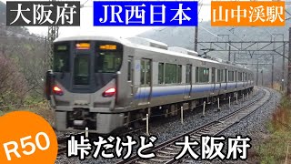のんびり気ままに鉄道撮影 491 JR西日本 山中渓駅編　JR WEST　Yamanakadani Station