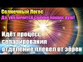 Солнечный Логос - Всё происходящее – повторение - не полностью выученный урок#Эра Возрождения