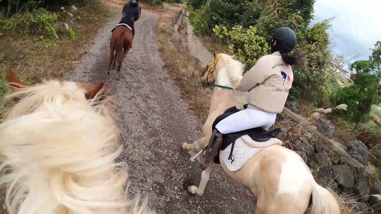 21.11.22 제주 브리더스 파크