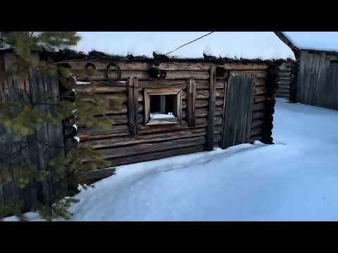 Ловушка для медведя
