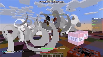 (WHY BAWK BAWK!) Bawk Bawk Commands