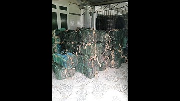 lú cào củ, lộp củ, nò củ, 12 cửa ngục củ. 0963818136