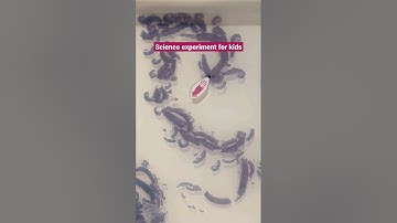 Squid Ink Science Experiment for Kids #shorts #science #TuffTray