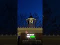 Admiring Stunning Holiday Lights with a Surprise Accent Twist!