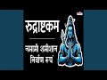 Rudrashtakam - Namami Shamishan Nirvan Roopam