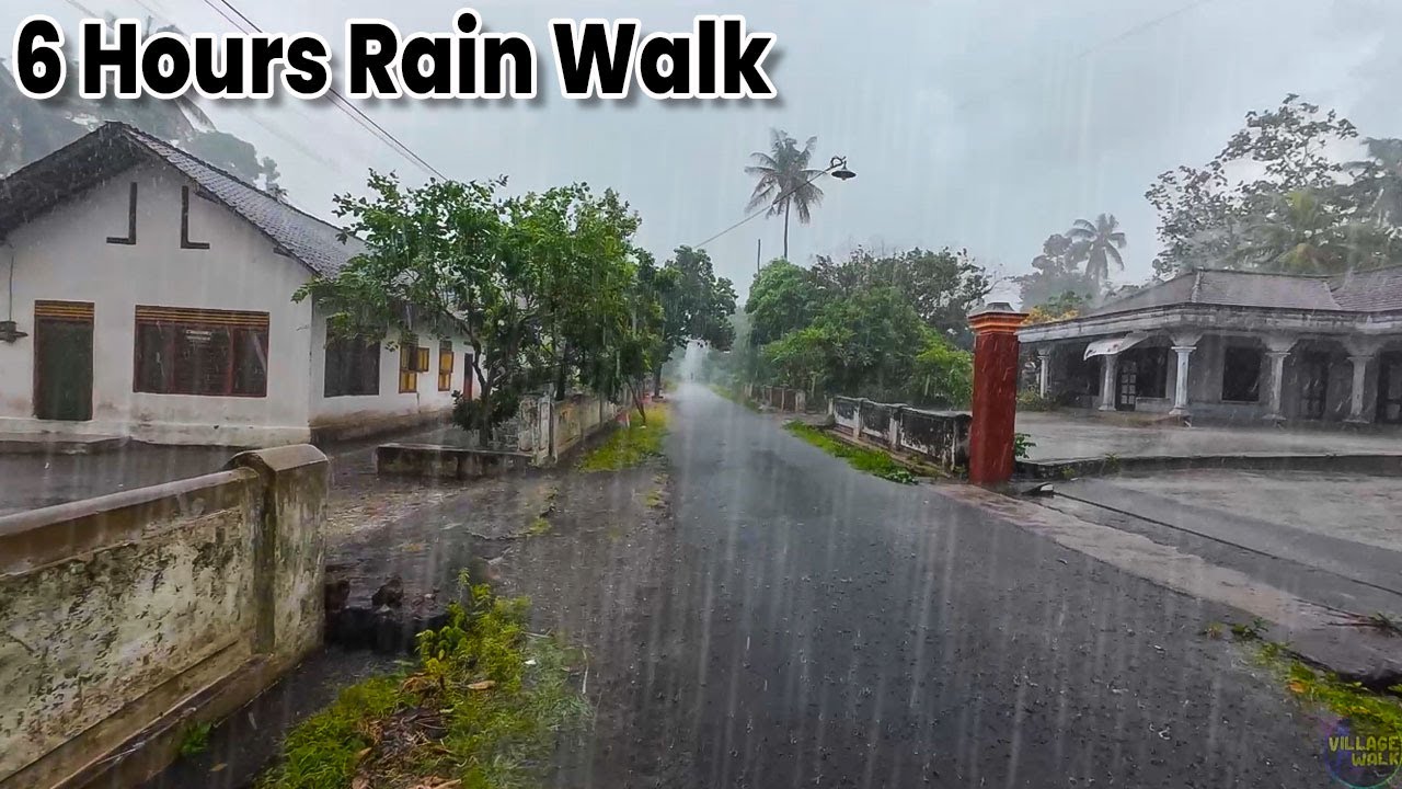 [6 часов] Прогулка по дождливой сельской местности для расслабления и умиротворения 🌧️ Звуки дождя