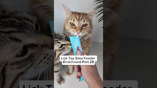 Lick Toy Slow Feeder Enrichment For Cats | Part 28
