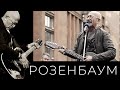 Александр Розенбаум – Утиная охота @Александр Розенбаум