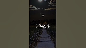 القرآن الكريم تلاوات خاشعة ❤️ #explore #youtube #المغرب #fyp #islam #instagram