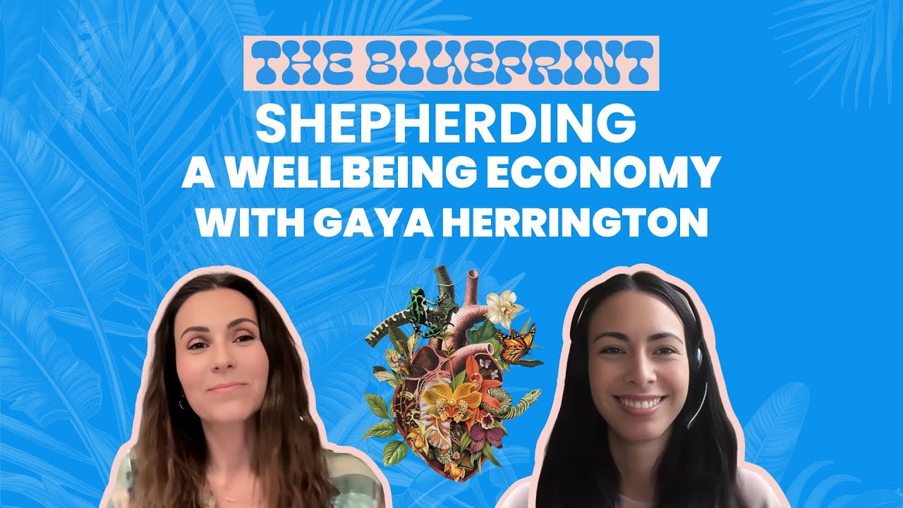 Shepherding A Wellbeing Economy | The Blueprint Within with Marley Finnegan & Gaya Herrington