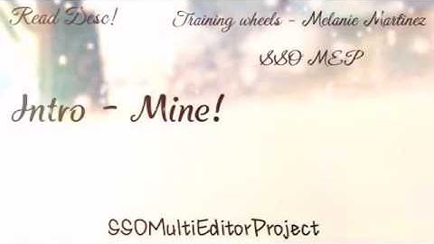 SSO MEP OPEN Training Wheels 8 PARTS LEFT♡