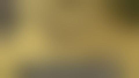 AoM:EE: Expanded Mod - MP Gameplay